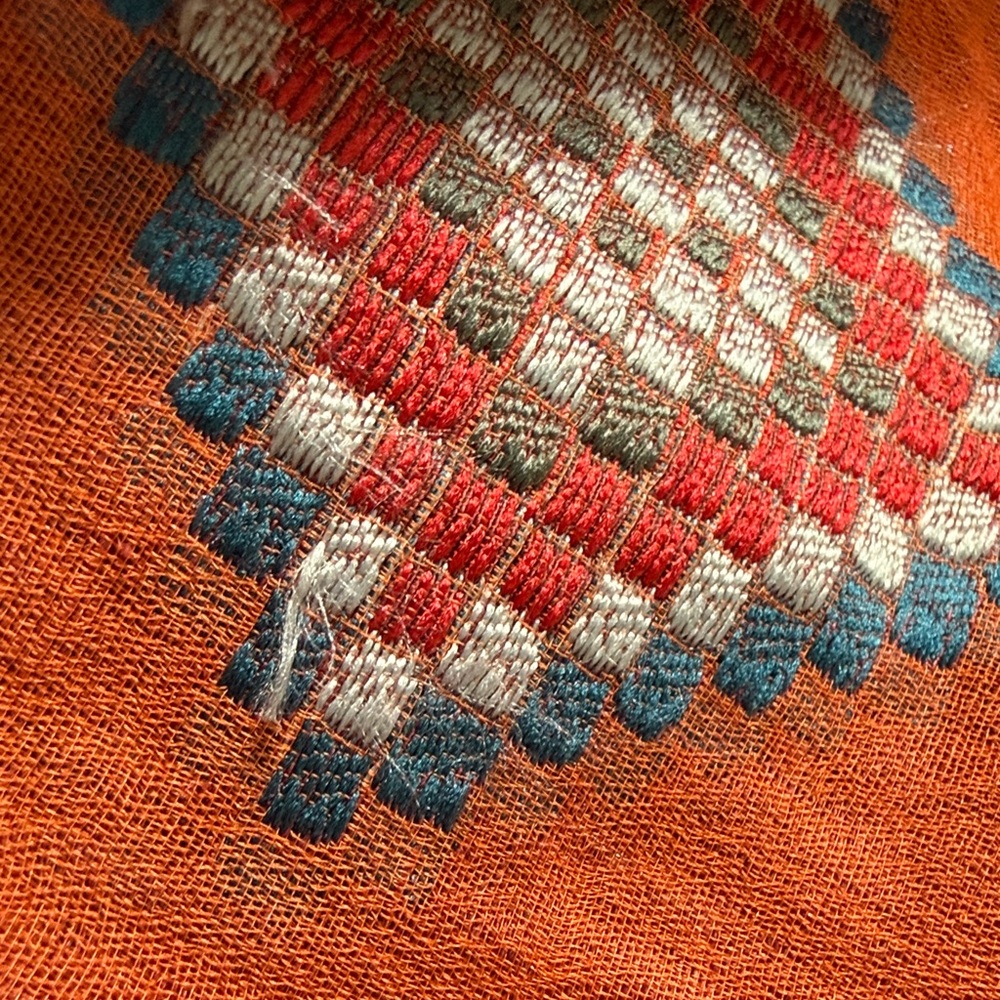 Etro NWT Vibrant Long Rust/Orange Scarf with Multicolor Embroidery - Picture 16 of 16